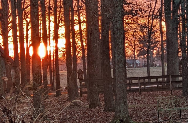 Serenity Country Cottage Horse Farm