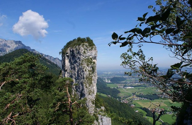 Aparthotel de lujo - 60 m² - 3 personas - Auwirt, Hotel Apartment