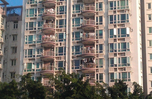 Shenzhen New Swan Castle Hotel