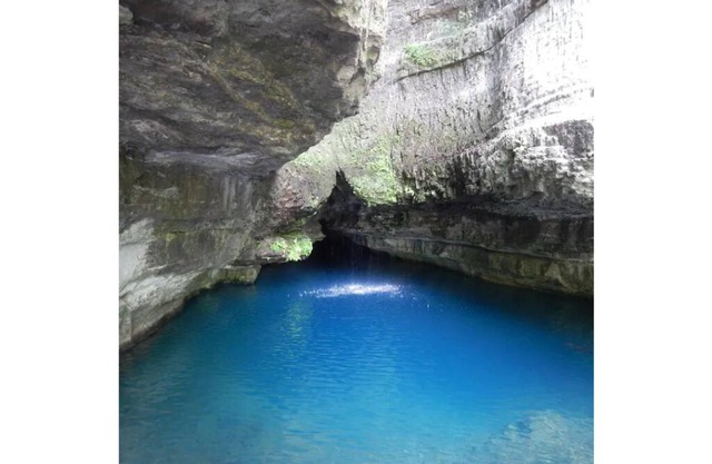 Shoal Creek Retreat Farm Stay