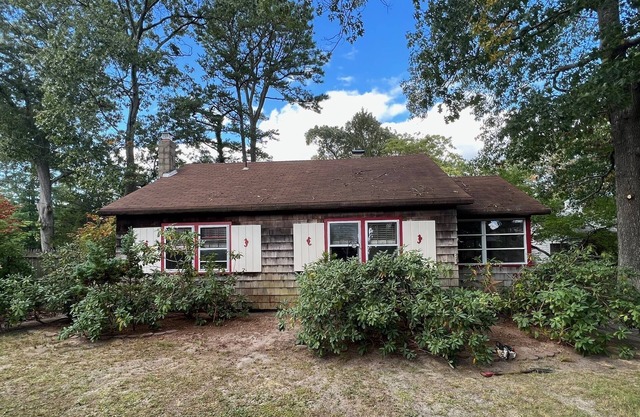 Shore Leave at the Sea Shore