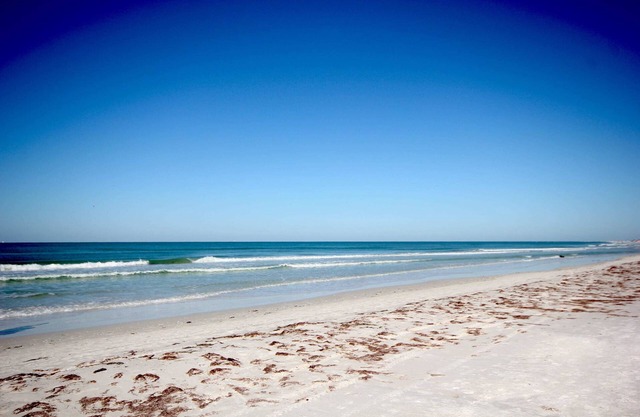 Esta habitación de motel es un 1 dormitorio (s), 1 baños, ubicada en SARASOTA, FL.