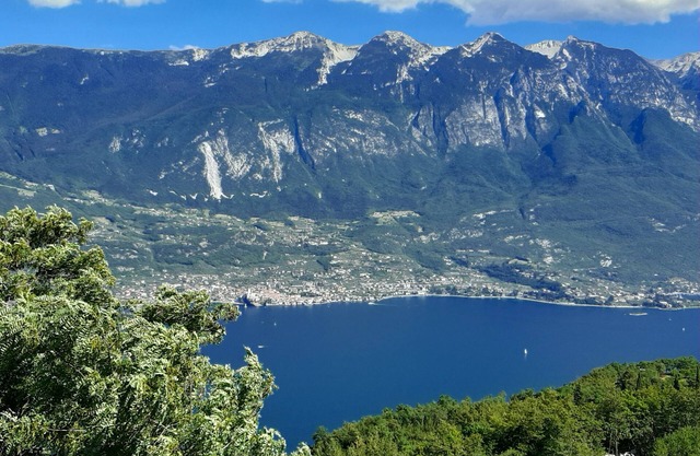 Single apartment in villa quiet dream location large terrace and garden area