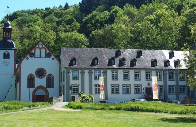 Habitación individual, ducha, aseo, 1 habitación - Gästehaus der Abtei Sayn