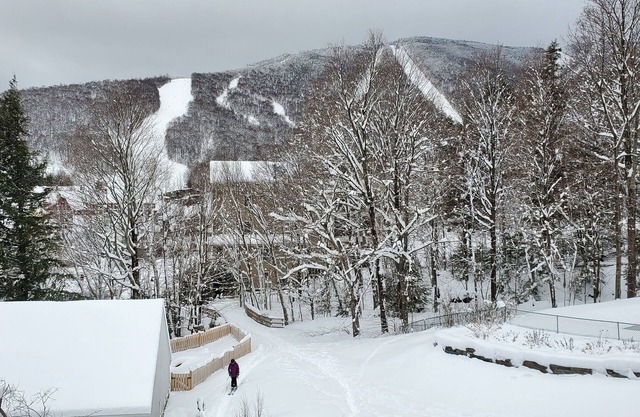 Premier Slope Views, Ski-on / Off, Unidad superior mejorada, Techos abovedados, Chimenea