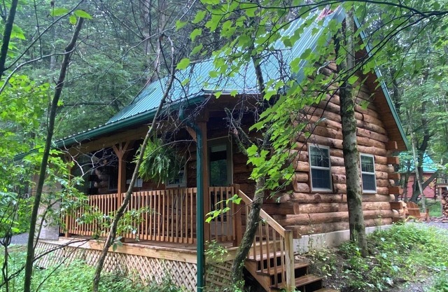 Sleepy Bear Log Cabin near Cook Forest State Park
