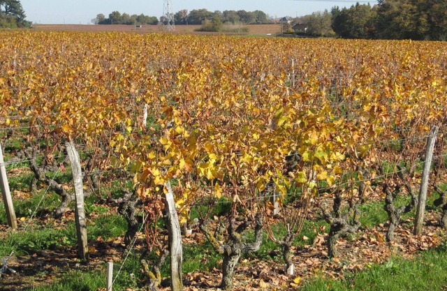 Hauschen, típico de la Touraine