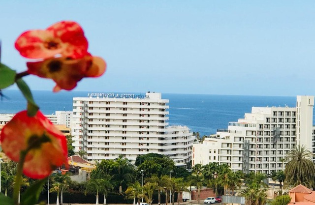 Smart apartment ocean view