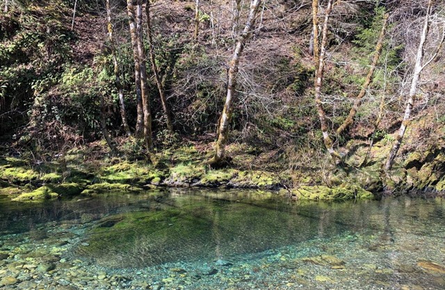 Smith River Off-Grid Retreat