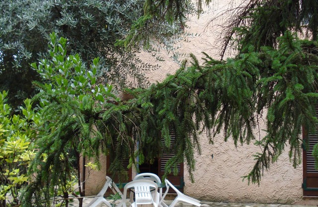 So quiet and yet so near the sea and downtown!