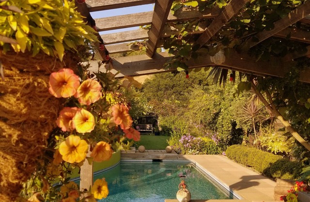 MEDIO SIGLO CUMBRE OASIS