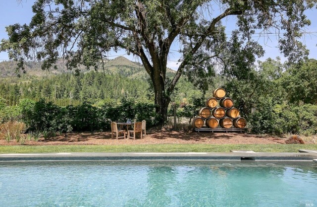 Sonoma Vineyard Retreat with Pool, Hot Tub & Vineyard Views