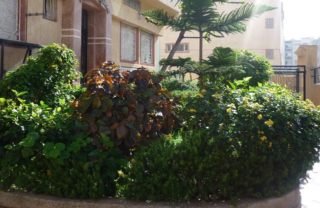 Amplio apartamento - 200m 84m2- del océano en Marruecos Eljadida