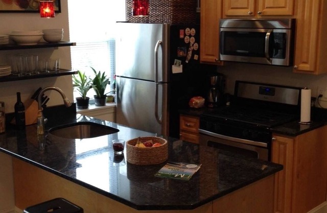 Spacious beautiful one bedrooms condo in East Boston #7 420 friendly