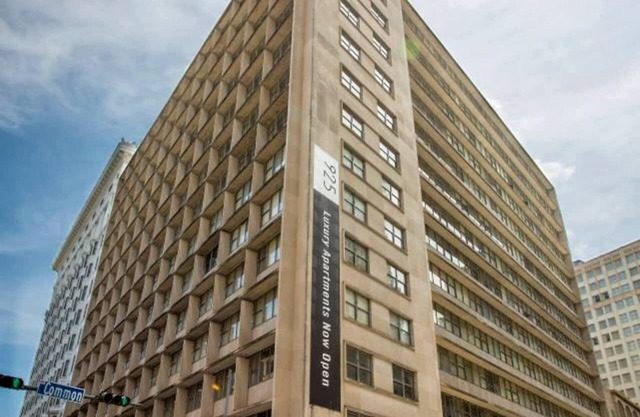Spacious Modern Condos near French Quarter