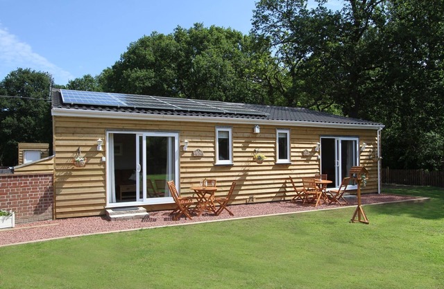 Squirrels Drey The Paddocks