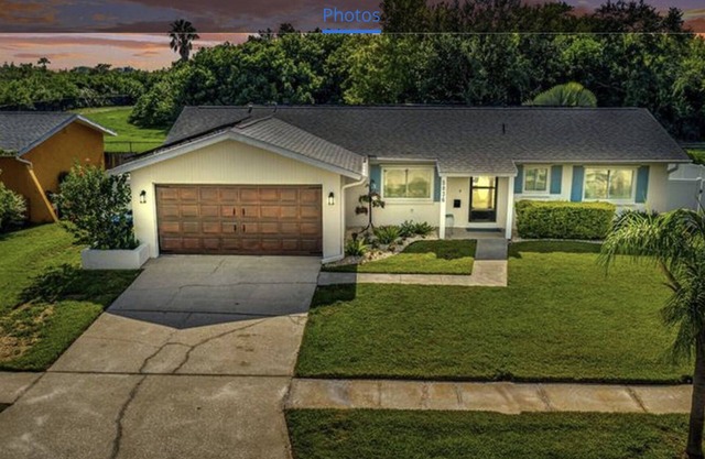 St.Pete Pool Paradise