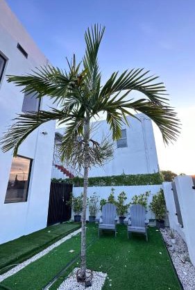 Stanza Hearth of Miami Design District and Wynwood, Parking, Laundry, Workstation, Fully equipped Apts, 24/7 Guest support