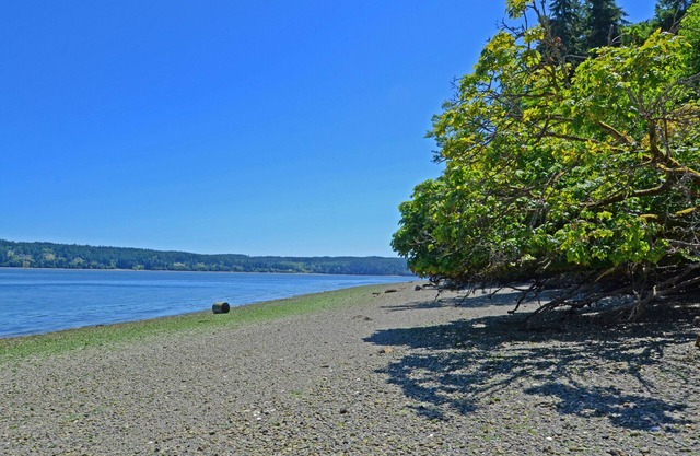 ¡Alójese en una hermosa cabaña de playa con una hermosa playa privada en Hazel Point!
