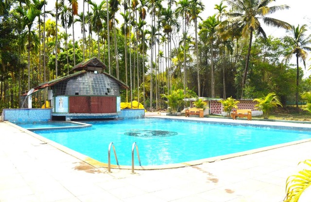 STAYMAKER Bird Of Paradise