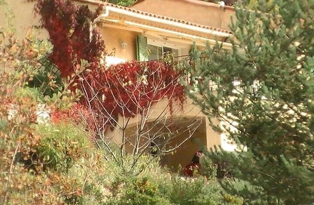 35m Estudio ° nueva totalmente equipada, jardín, estacionamiento, planta baja, zona verde tranquila.