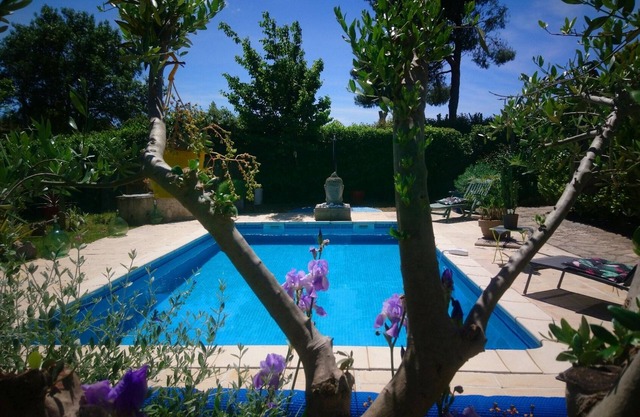 ESTUDIO LLENO DE ENCANTO Y BRILLANTE PISCINA "ENTRE LA TIERRA Y EL MAR", JARDÍN DEPORTIVO.