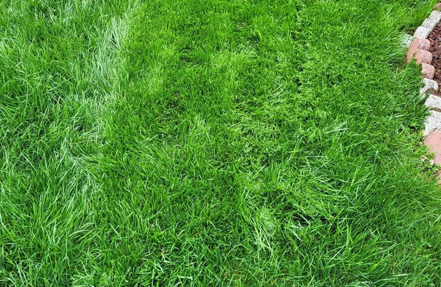 Mariott's Look-a-Like Master Bed & Bath/Own Full Kitchenette/Med Refridgerator