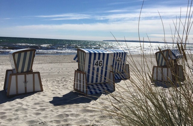 Estudio "MS mejillón" en el parque de vacaciones
