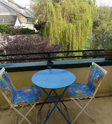 STUDIO RDC au pied du château et balcon sur la vilaine