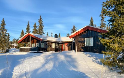 Stunning Home In Sjusjøen With Sauna