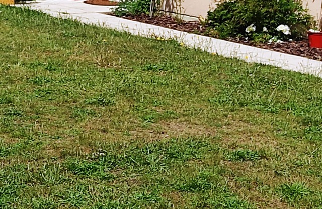 Stunning home near Disney. Free parking.