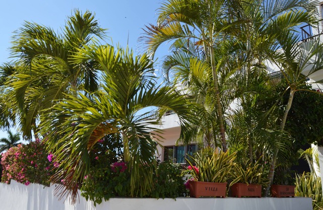 STUNNING VILLA IN EXCLUSIVE CABO NEIGHBORHOOD!!