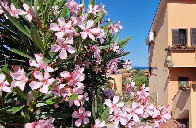 SU BISU Costa Rei R4991 terrace with sea view, 500m from the beach