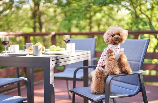 Suite Villa Nasukogen Doggy's Ohana