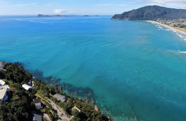 Sun-Kissed Shores of Tairua!!