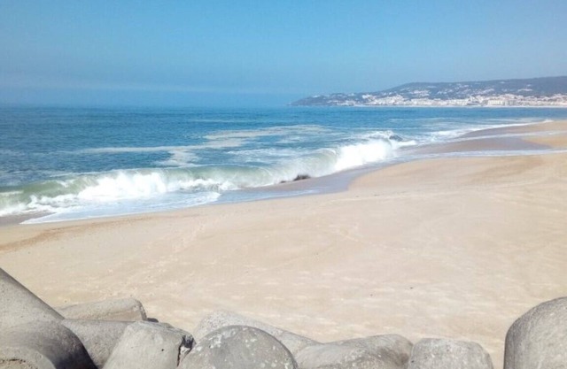 Sol con estilo: cómodo, moderno y bien ubicado