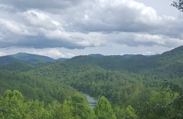Vista panorámica de largo alcance, acceso al lago, accesible en silla de ruedas.