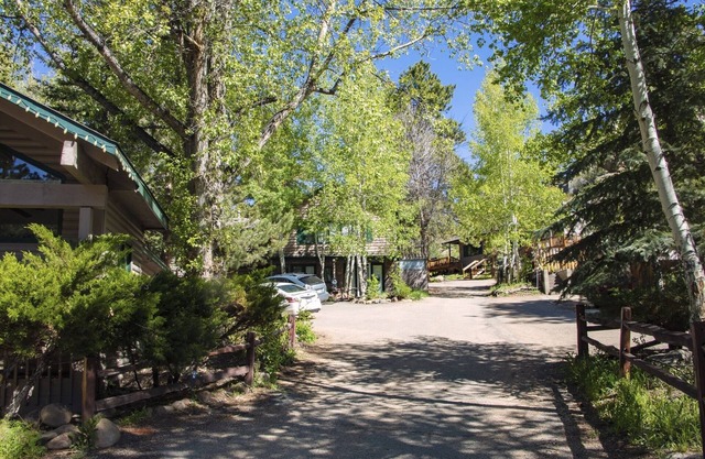 Sunnyside Knoll: 11 1 Bedroom Apts