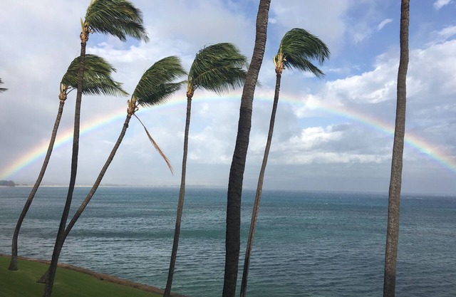 Gran lujo, frente al mar directa, 20 yardas de océano, ballena vigilantes del paraíso
