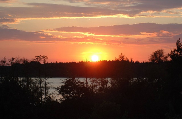 Lago para nadar justo al lado del gran jardín, comer fruta, campo de playa, perros, pendiente orientada al sur