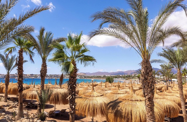 Swissôtel Sharm El Sheikh All Inclusive Collection