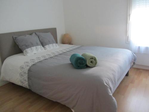 T2 36 m2 Près du lac, Parc 55 hectares accessible à pied !