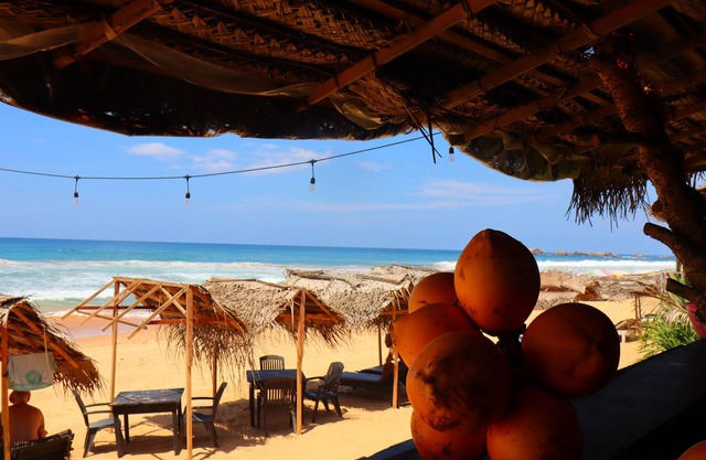 Tea Library Hikkaduwa