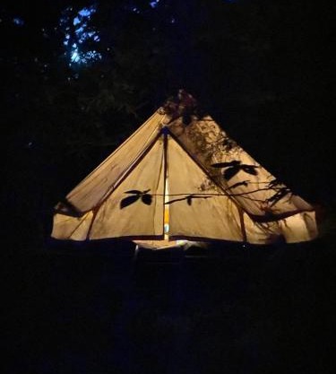 Tente tipi en forêt de châtaigniers