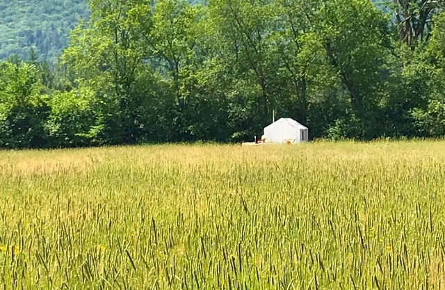 Tentrr - Lone Mountain Farm Camping