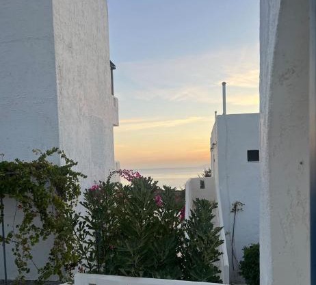 Thalia Bloom Villa Apartments