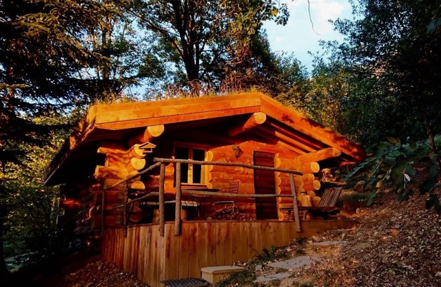 La cabaña de troncos de 13 árboles