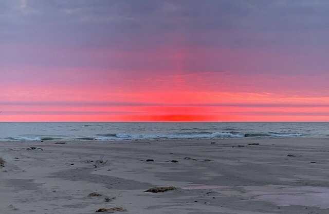 The Beach Bungalow at Michigan Blvd.