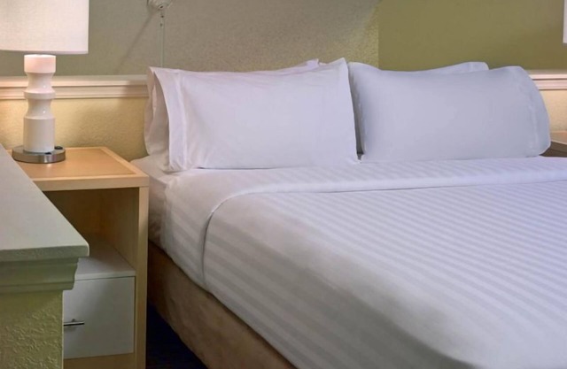 The Cleveland Gray's Armory Museum Tour! Pet-friendly Rental W/ FREE Parking!