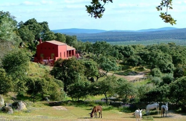 Casa de vacaciones Montanchez para 1 - 6 personas con 3 dormitorios - Casa rural